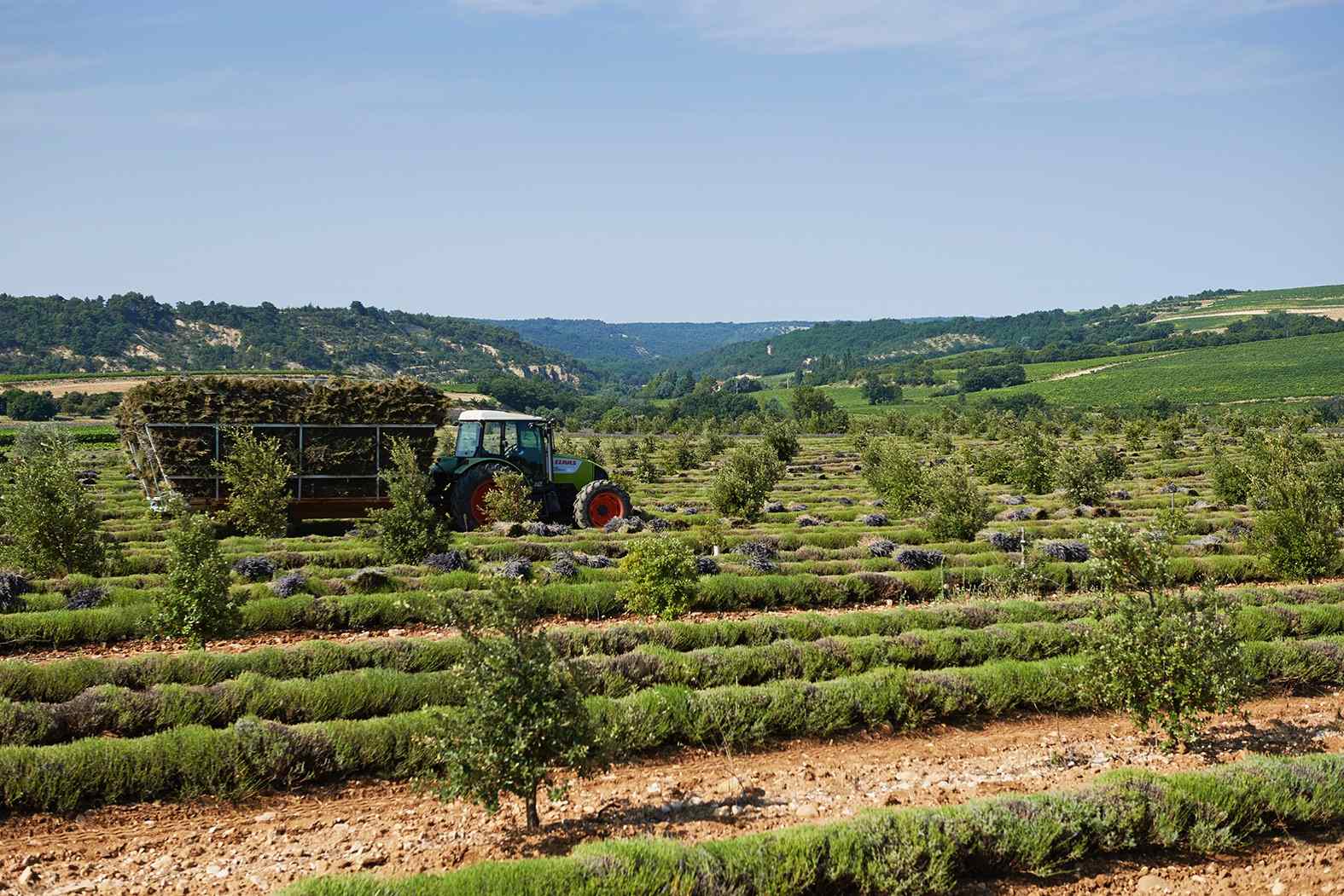 Communication responsable : arrêtez le greenwashing