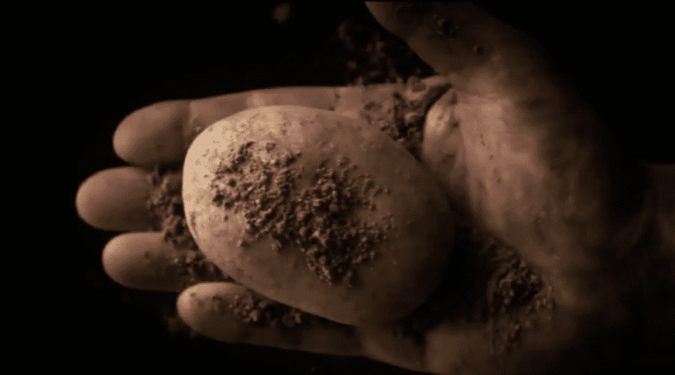 Photo artistique en gros plan d'une pomme de terre Mc Cain tenue dans une main