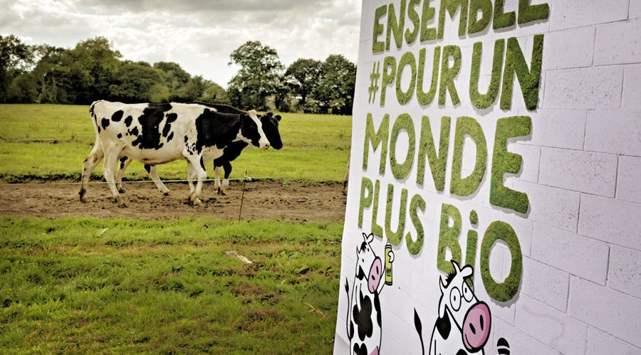 Evenement Les 2 Vaches dans un champ : ensemble pour un monde plus bio